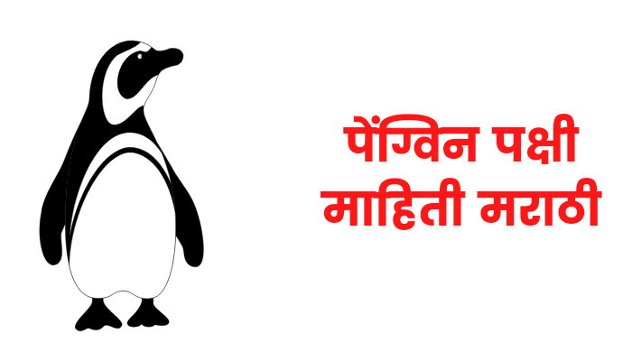Penguin information in marathi