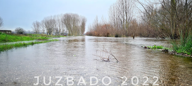 Juzbado, Tormes, crecida diciembre 2022