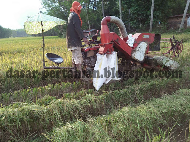  Dunia teknologi semakin hari semakin canggih saja Kelemahan Memanen Padi Menggunakan Mesin Modern