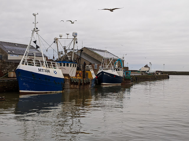 Photo of fishing boats in Maryport Harbour at high tide