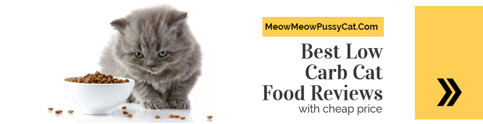 Best Cat Food for Allergies