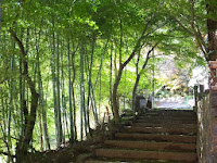 竹林の参道。