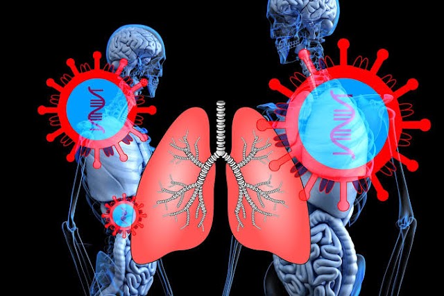 Understanding Lung Cancer | Causes, Symptoms and  Treatment | Article Writter 