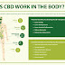 What are the effects and side effects of CBD oil?