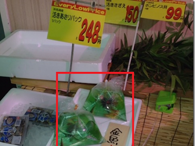 金魚 食べ られる 269770