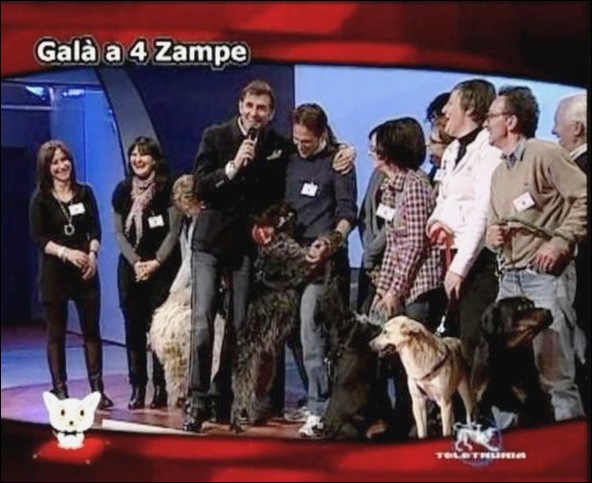 4 tv