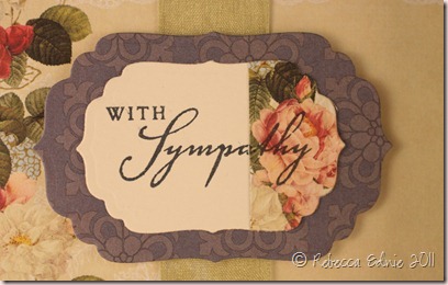 websters simple sympathy a1 closeup