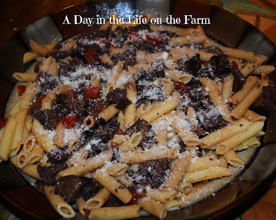 Pasta with Sausage and Eggplant in Wine Sauce