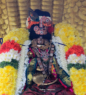 Sri Krishna Jayanthi,Kutty Krishna, Purappadu, Video, Divya Prabhandam, Sri Parthasarathy Perumal, Triplicane, Thiruvallikeni, Utsavam, 