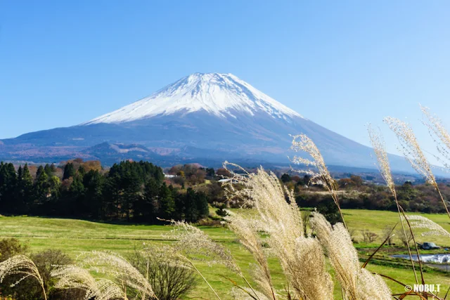 ススキと富士山～富士ヶ嶺