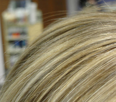 blonde highlights and lowlights on. Blonde Highlights And