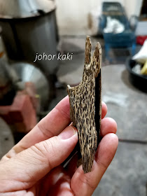 Wild Agarwood in Bangka Indonesia. King of Incense, Scent from Heaven