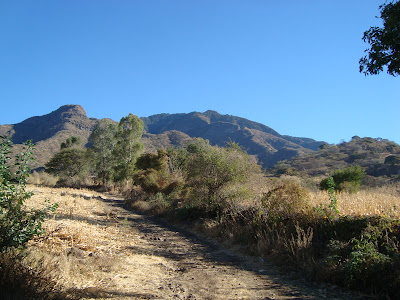 Vista del Cerro Viejo desde brechas de Zapotitán