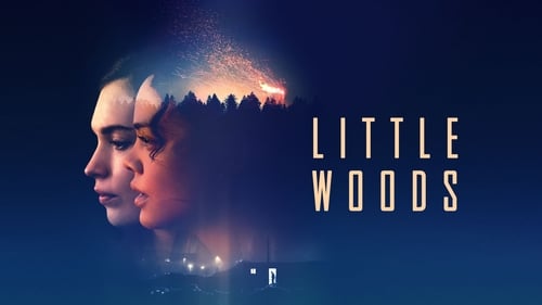 Little Woods 2019 descargar hd castellano
