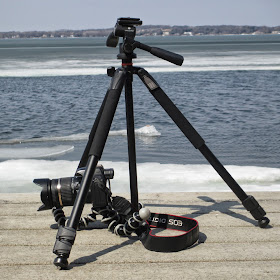 Compare GorillaPod and Full-Size Tripod | Boost Your Photography