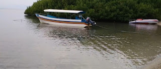 Taman Nasional Baluran - Situbondo