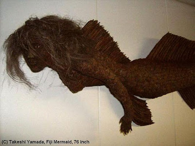 [Gambar: fiji-mermaid-76.jpg]