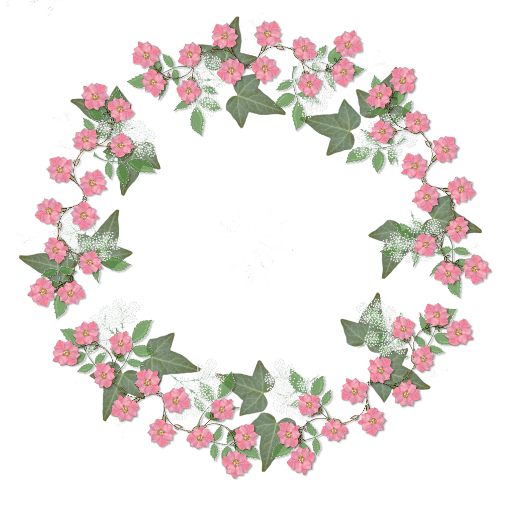 Gambar Bingkai Bunga Format Png - Gambar Bunga