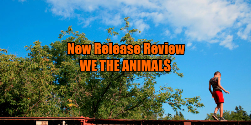 we the animals review