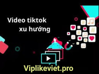 XU HƯỚNG CONTENT MARKETING TRÊN TIKTOK 2024