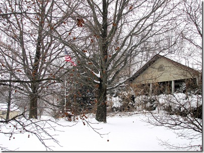 snow01-23-11c