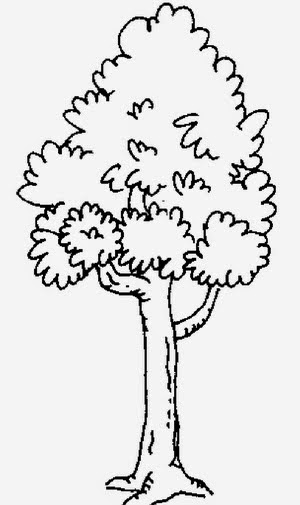 Dunia Sekolah Gambar Hitam Putih Drawing Bunga Pokok