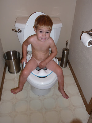 Potty training boys,when to potty train,potty training charts,potty training in 3 days,potty train,potty training regression,potty chart,toilet training