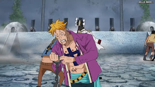 ワンピースアニメ 頂上戦争編 479話 不死鳥マルコ Marco the Phoenix | ONE PIECE Episode 479