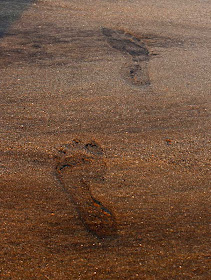 footprints in the wet packed sand