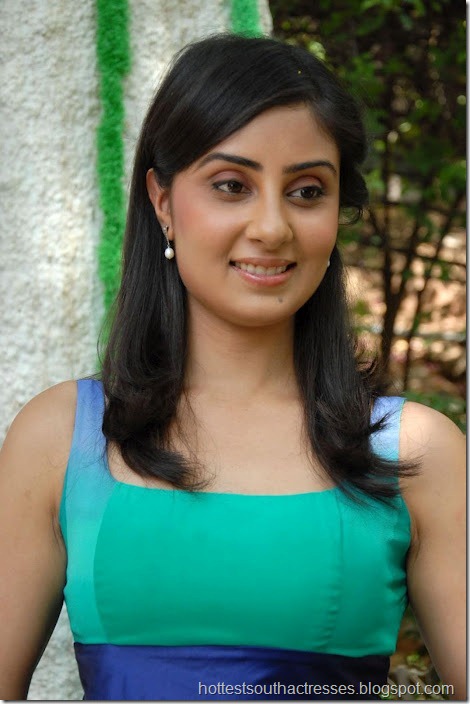 Bhanu Sri Mehra Latest Hot Pics 1
