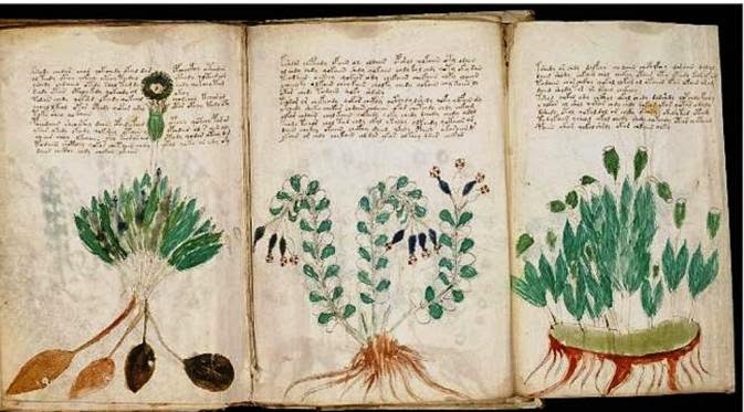  Manuskrip Voynich 