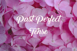  Rumus dan Contoh Kalimat Past Perfect Tense Materi, Rumus dan Contoh Kalimat Past Perfect Tense