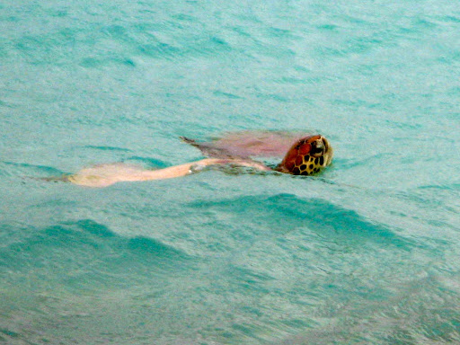 1efbc83b-2012-09-7-00-04-2012-09-7-00-04.jpg