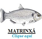 Peixe, Matrinxã