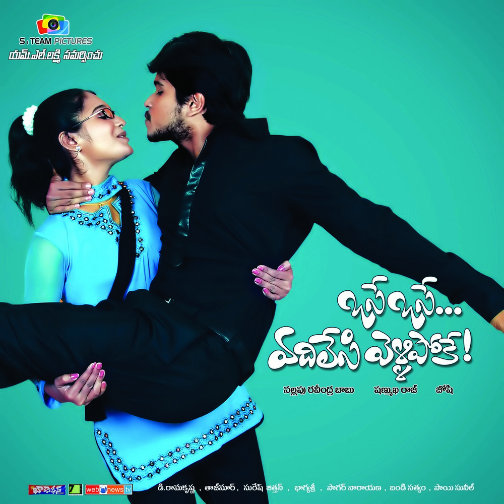 Raja Babu Hindi Movie Mp3 Songs Free Download