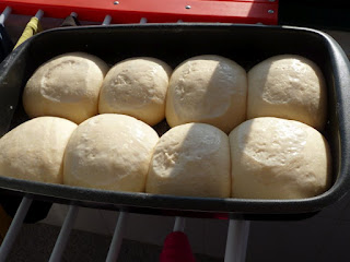  Pão a levedar