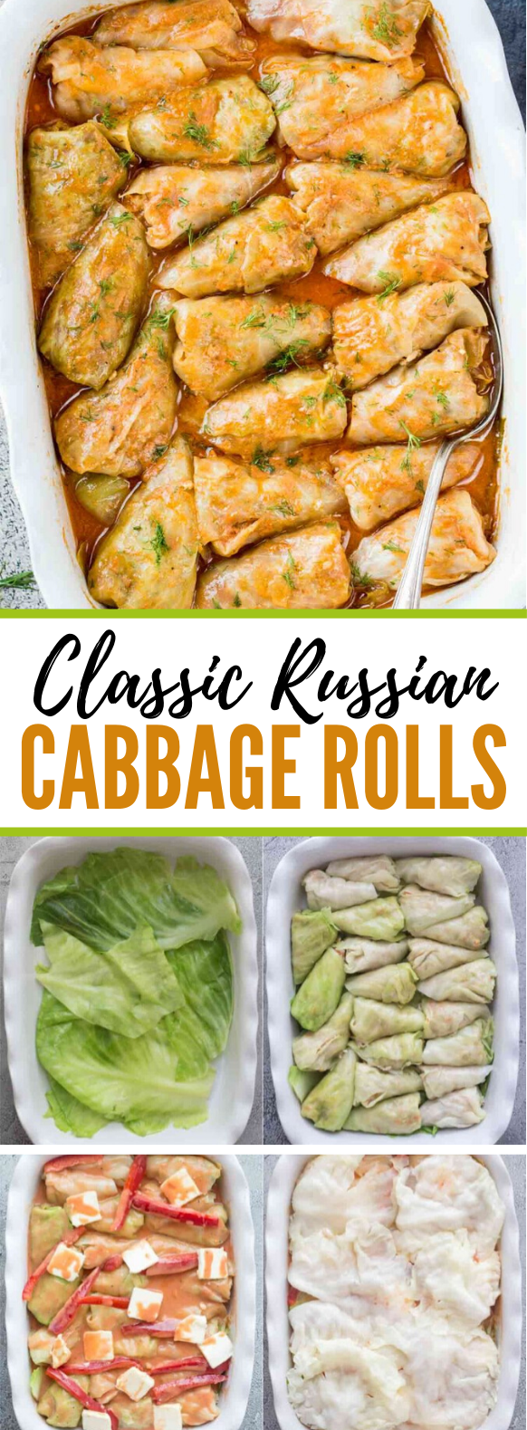 Stuffed Cabbage Rolls Recipe #vegetarian #holidayrecipe