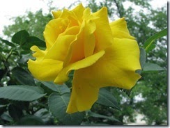 IMG_0064