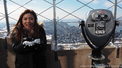 travel tips new york by singaporean