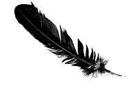 falling feather