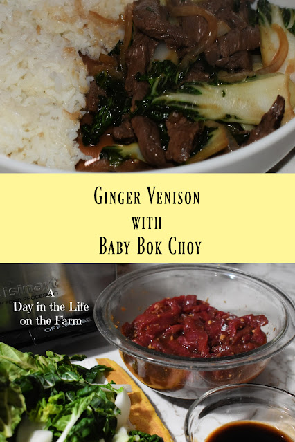 Ginger Venison with Baby Bok Choy