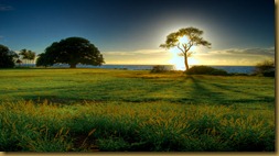 truenature