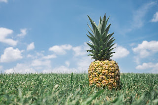 Pineapple Fruit Tropical