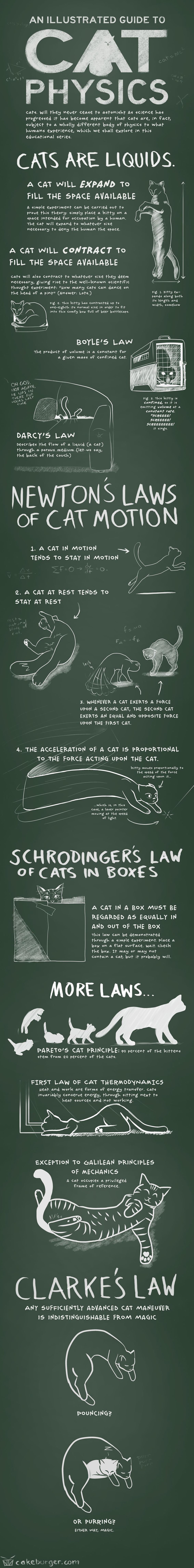 infographic contains an illustrated guide to cat physics