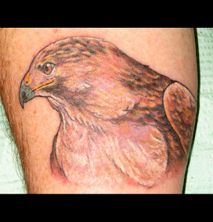 hawk tattoo art 