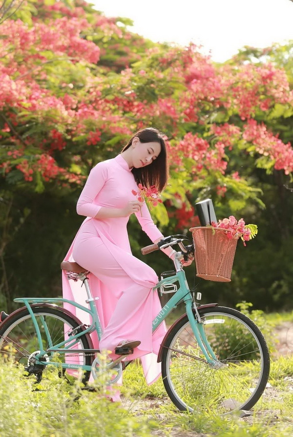 Thiếu nữ áo dài hồng ngồi xe đạp
