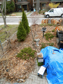 Runnymede Toronto Front Yard Spring Cleanup Before by Paul Jung Gardening Services--a Toronto Organic Gardening Company