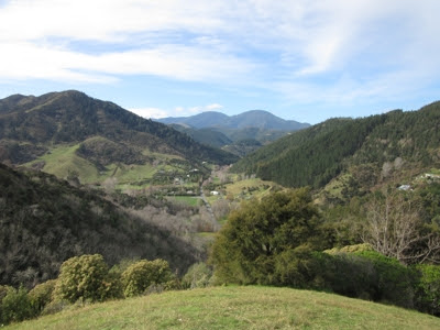 Centro de Nueva Zelanda, Nelson