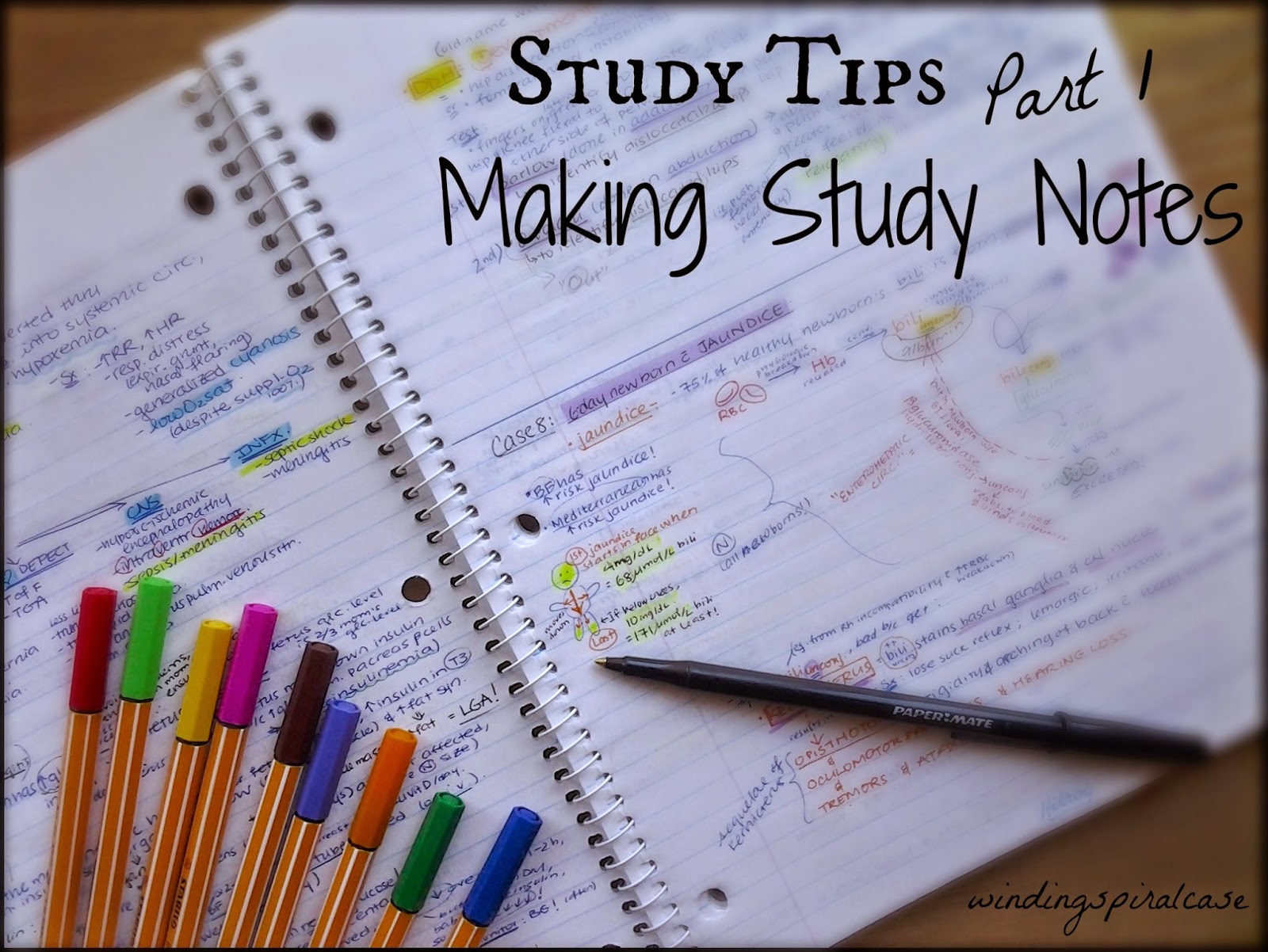 how to study university medical school