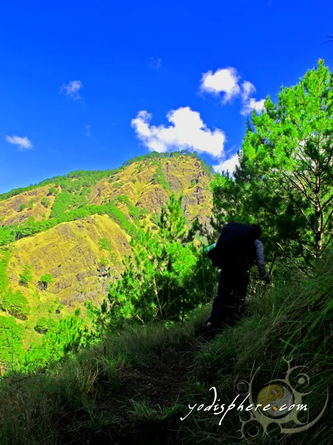 Scenes at the Akiki Trail going to Mt. Pulag  